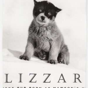 TEATOWEL - BLIZZARD PUPPY