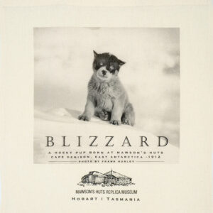 COTTON TOTE BAG - BLIZZARD