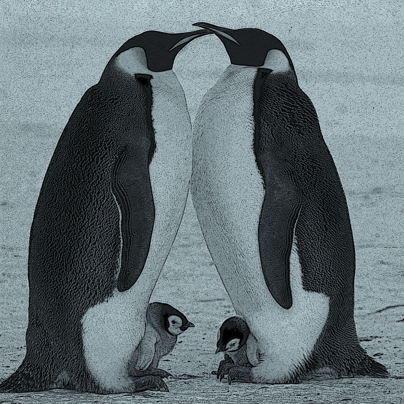 Polar Explorer Family Membership