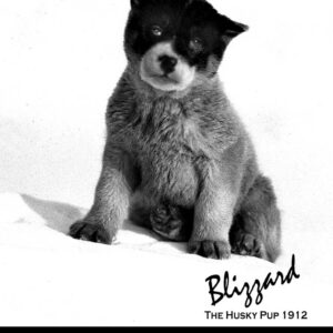 Blizzard White T-Shirt - S [Sz:SMALL]