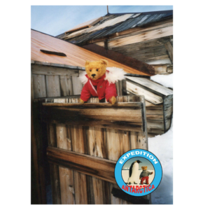 Teddy in Mawson's Huts (Portrait)