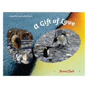 A GIFT OF LOVE - ANNE CLARK